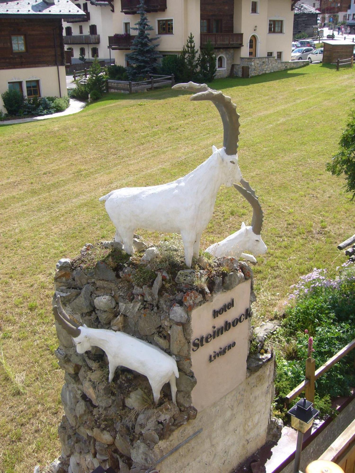 Hotel Steinbock 3*